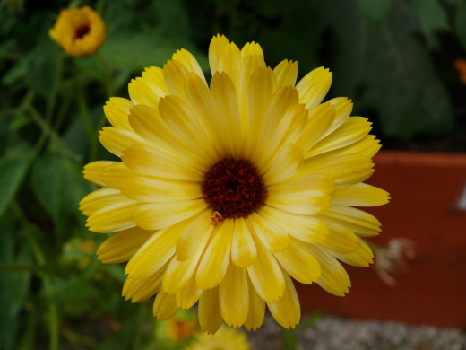 654959 (a): :1600x1200
